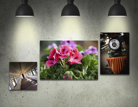 Color Canvas Prints, Mounted Canvas, Stretched Canvas Color Posters, Trade Show Posters, Convention Center Posters, Signs, Memorial Poster, Event Signage, Presentation Poster, Scientific Poster, Project Boards, Photo Poster, Point of Sale Display, Sale Posters, Poster for Easel, Booth signs, School Project Posters, Real Estate Poster, Open House Sign, Die Cut Photo Booth , Occasion Photo Booth, Directional Signage